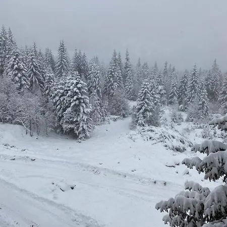 Npl Gorstak 3/12 Apartment Jahorina